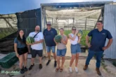 Diamond Seeds muestra sus credenciales en sandía con una rayada adaptada a toda España