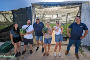 Diamond Seeds muestra sus credenciales en sandía con una rayada adaptada a toda España