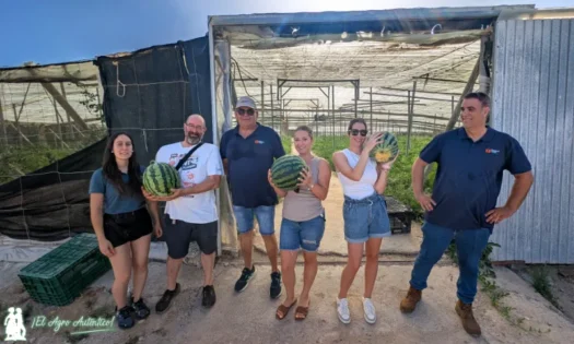 Diamond Seeds muestra sus credenciales en sandía con una rayada adaptada a toda España