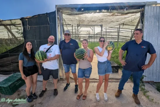 Diamond Seeds muestra sus credenciales en sandía con una rayada adaptada a toda España