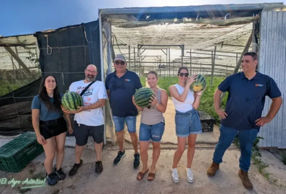 Diamond Seeds muestra sus credenciales en sandía con una rayada adaptada a toda España