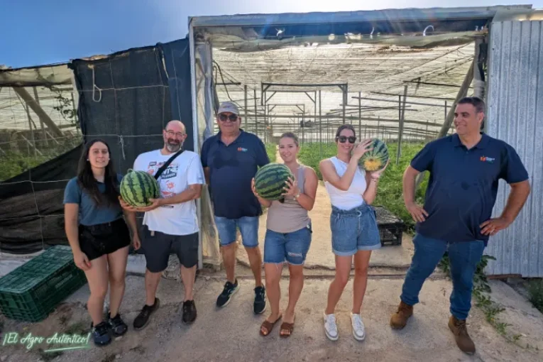 Diamond Seeds muestra sus credenciales en sandía con una rayada adaptada a toda España