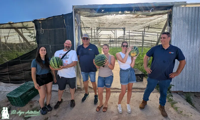 Diamond Seeds muestra sus credenciales en sandía con una rayada adaptada a toda España