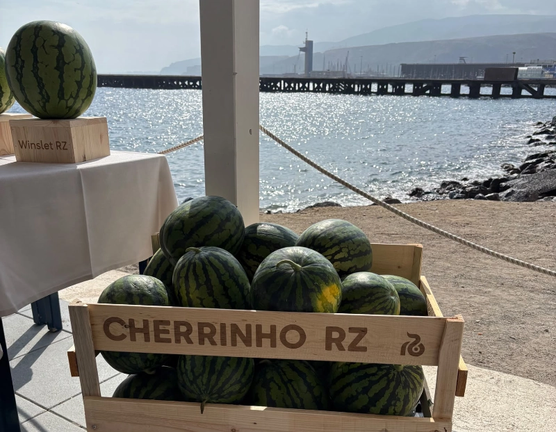 Cherrinho RZ protagoniza el cierre de la campaña de sandía en Almería 2