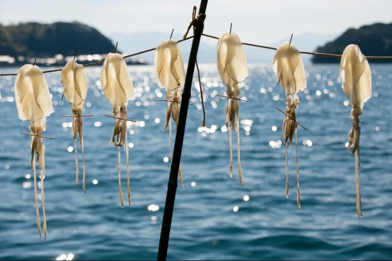 El mejor concurso de fotografía gastronómica del mundo ya tiene ganadora