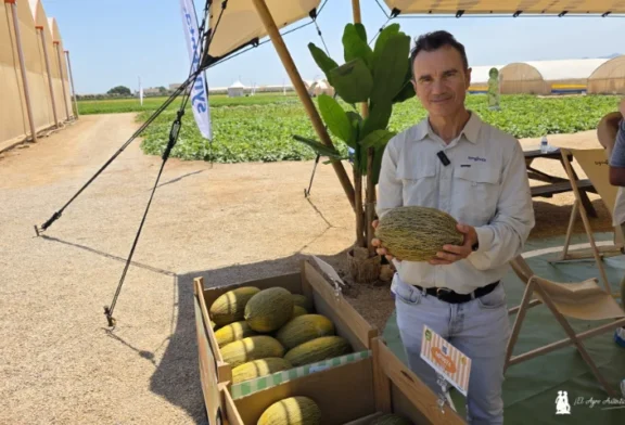 Syngenta se hace fuerte en el piel de sapo con tres gamas de melón