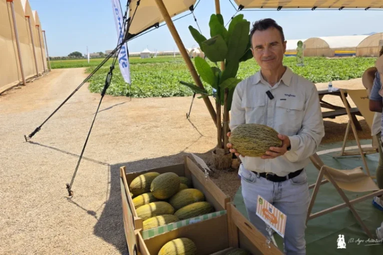Syngenta se hace fuerte en el piel de sapo con tres gamas de melón