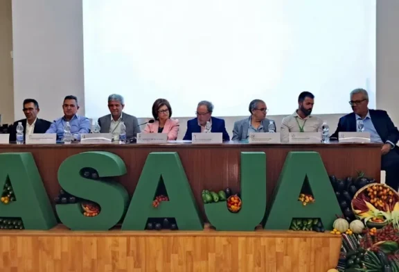Asaja hace balance de la campaña hortícola 2025-26 en Almería: 33.720 hectáreas