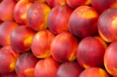 El coste de producción de melocotón y nectarina está en 0,58 €/kg