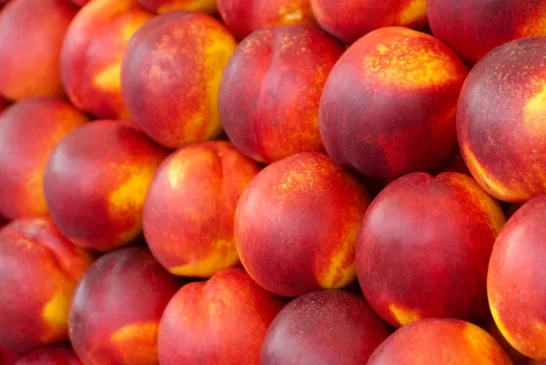 El coste de producción de melocotón y nectarina está en 0,58 €/kg