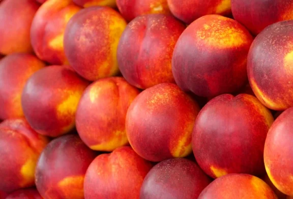 El coste de producción de melocotón y nectarina está en 0,58 €/kg