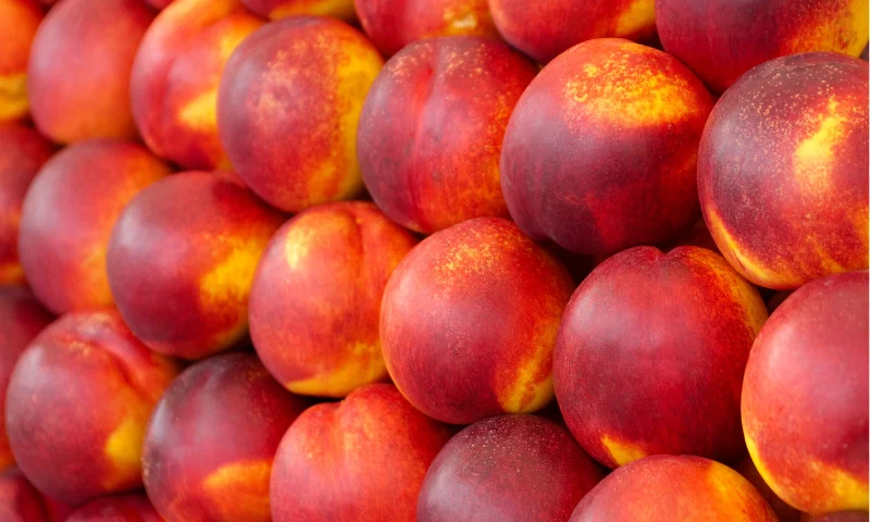 El coste de producción de melocotón y nectarina está en 0,58 €/kg