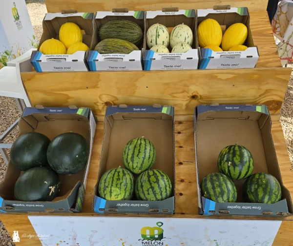 Event Melon & Watermelon Week26 / agroautentico.com