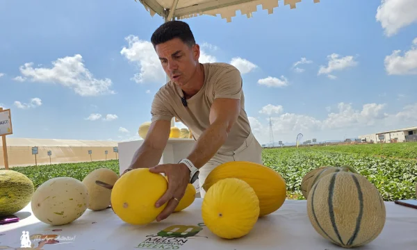 José Guirado con melón amarillo y cantaloup de Bayer Seminis / agroautentico.com