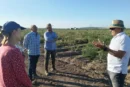 Sirio y Centauro protagonizan la jornada de cebolla de Ramiro Arnedo en Lebrija