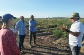 Sirio y Centauro protagonizan la jornada de cebolla de Ramiro Arnedo en Lebrija