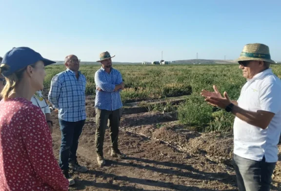 Sirio y Centauro protagonizan la jornada de cebolla de Ramiro Arnedo en Lebrija