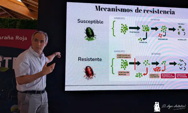 Joel González-Cabrera, profesor de la Universitat de València / agroautentico.com