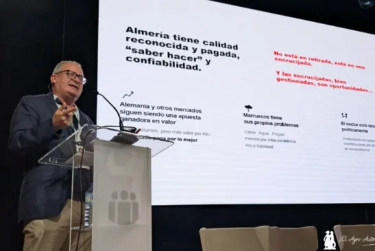 La encrucijada del tomate tras el sorpaso marroquí. De un problema a una oportunidad