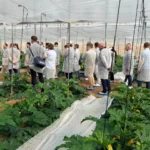 La nueva Vellsam Academy reúne a agricultores, cooperativas y técnicos en torno a la nutrición y bioprotección 33