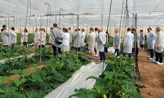 La nueva Vellsam Academy reúne a agricultores, cooperativas y técnicos en torno a la nutrición y bioprotección 33