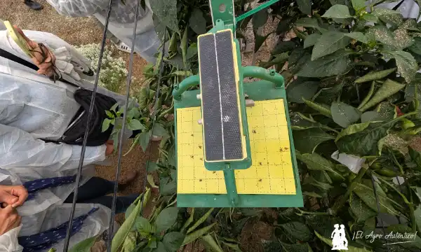 Magic Trap de Bayer / agroautentico.com