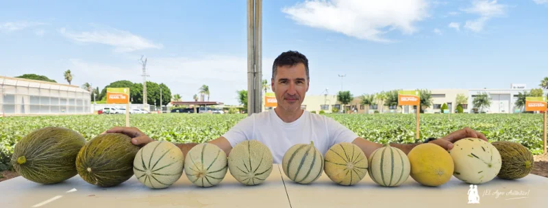 Melón de Nunhems