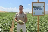 Bayer Seminis entra en La Liga de los piel de sapo
