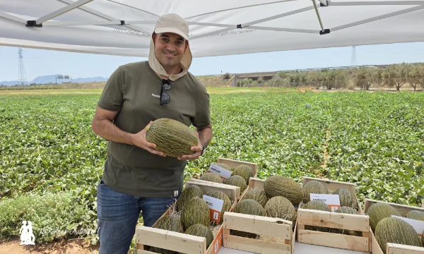 KWS Vegetables abre sus puertas en Murcia para presentar el futuro del melón y la sandía 10