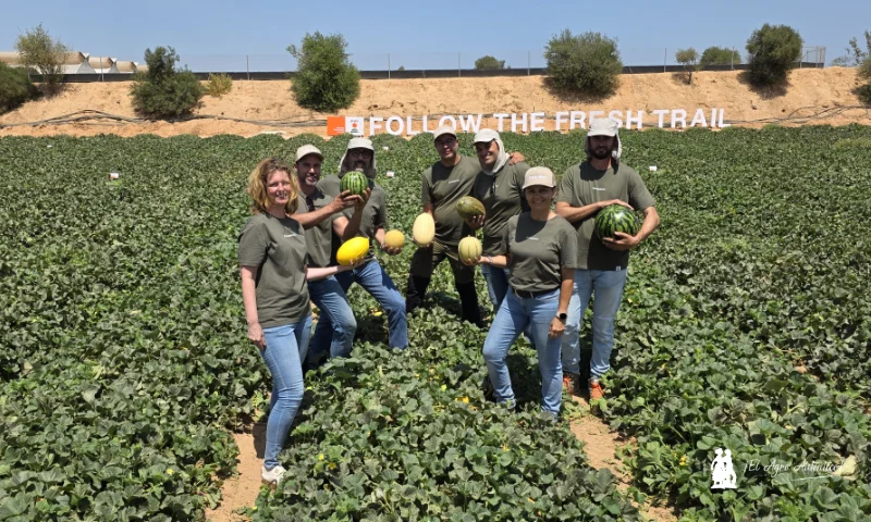KWS Vegetables abre sus puertas en Murcia para presentar el futuro del melón y la sandía