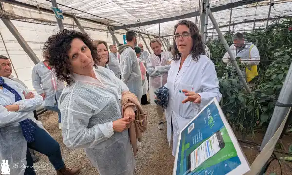 Nematool de Bayer en la estación experimental de Las Palmerillas / agroautentico.com