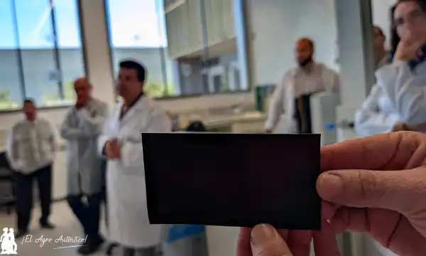 Nuevos materiales obtenidos en el laboratorio de Las Palmerillas / agroautentico.com