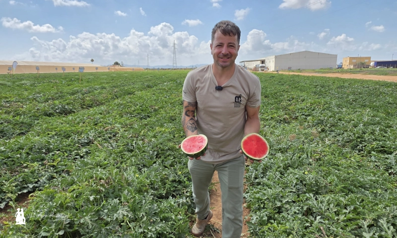 José María Román, responsable de desarrollo de sandía en Bayer Seminis con la variedad Romanesia / agroautentico.com