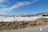 El verano en los invernaderos: preparación de la próxima campaña y máxima prevención frente al calor