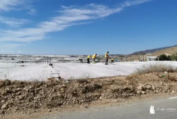 El verano en los invernaderos: preparación de la próxima campaña y máxima prevención frente al calor