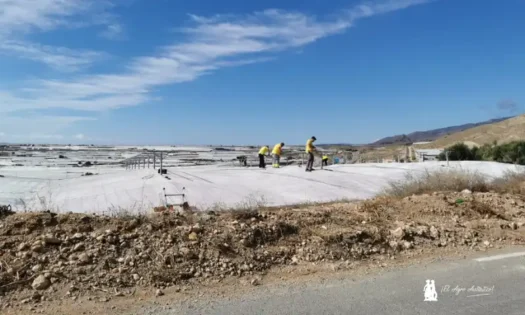 El verano en los invernaderos: preparación de la próxima campaña y máxima prevención frente al calor