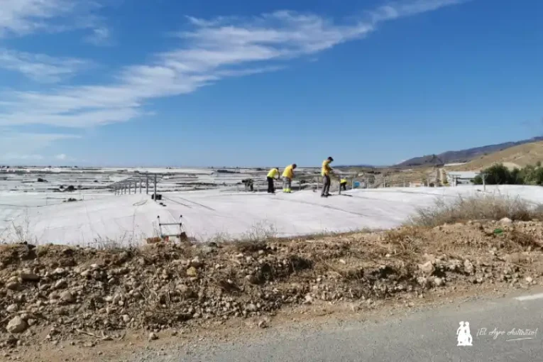 El verano en los invernaderos: preparación de la próxima campaña y máxima prevención frente al calor