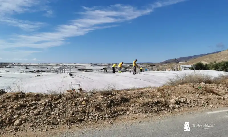 El verano en los invernaderos: preparación de la próxima campaña y máxima prevención frente al calor