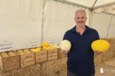 Ramiro Arnedo celebra su Melon Week en la nueva finca experimental Los Médicos