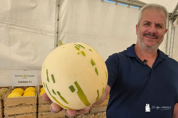 Melón tipo huevo de dinosaurio con un paquete de resistencias completo