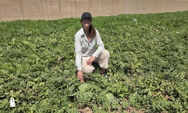 Isabel Díaz en campo con la variedad Agata / agroautentico.com