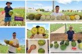 El Mundial del Melón y la Sandía de este mes de julio corona a BASF | Nunhems