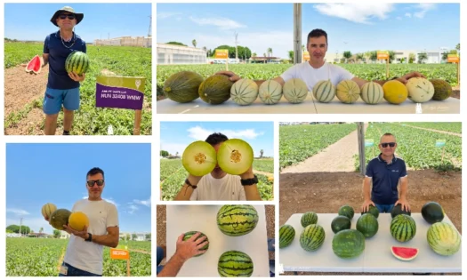 Nunhems lidera el desarrollo de soluciones en melón y sandía combinando producción, calidad y diferenciación 21