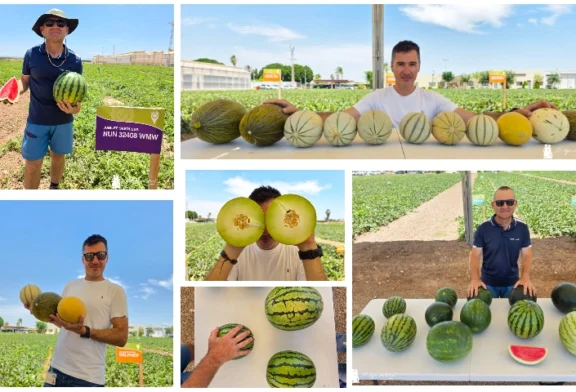 El Mundial del Melón y la Sandía de este mes de julio corona a BASF | Nunhems