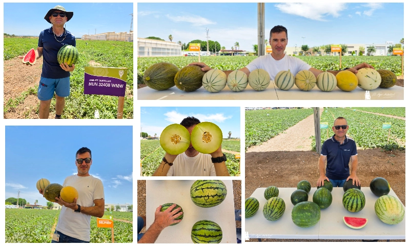 El Mundial del Melón y la Sandía de este mes de julio corona a BASF | Nunhems