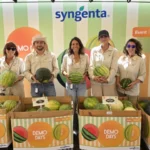 All You Need 2026. Melon & Watermelon Days Syngenta / agroautentico.com