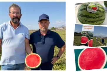 Cora Seeds elige Pulpí para sus primeras puertas abiertas en sandía