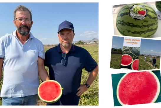 Cora Seeds elige Pulpí para sus primeras puertas abiertas en sandía