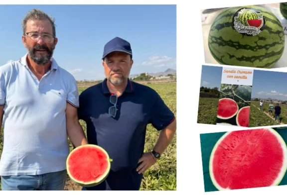 Cora Seeds elige Pulpí para sus primeras puertas abiertas en sandía
