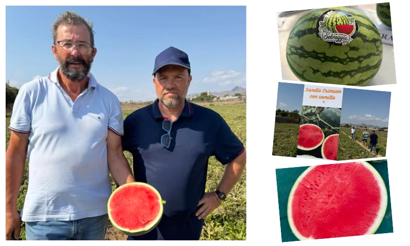 Cora Seeds elige Pulpí para sus primeras puertas abiertas en sandía